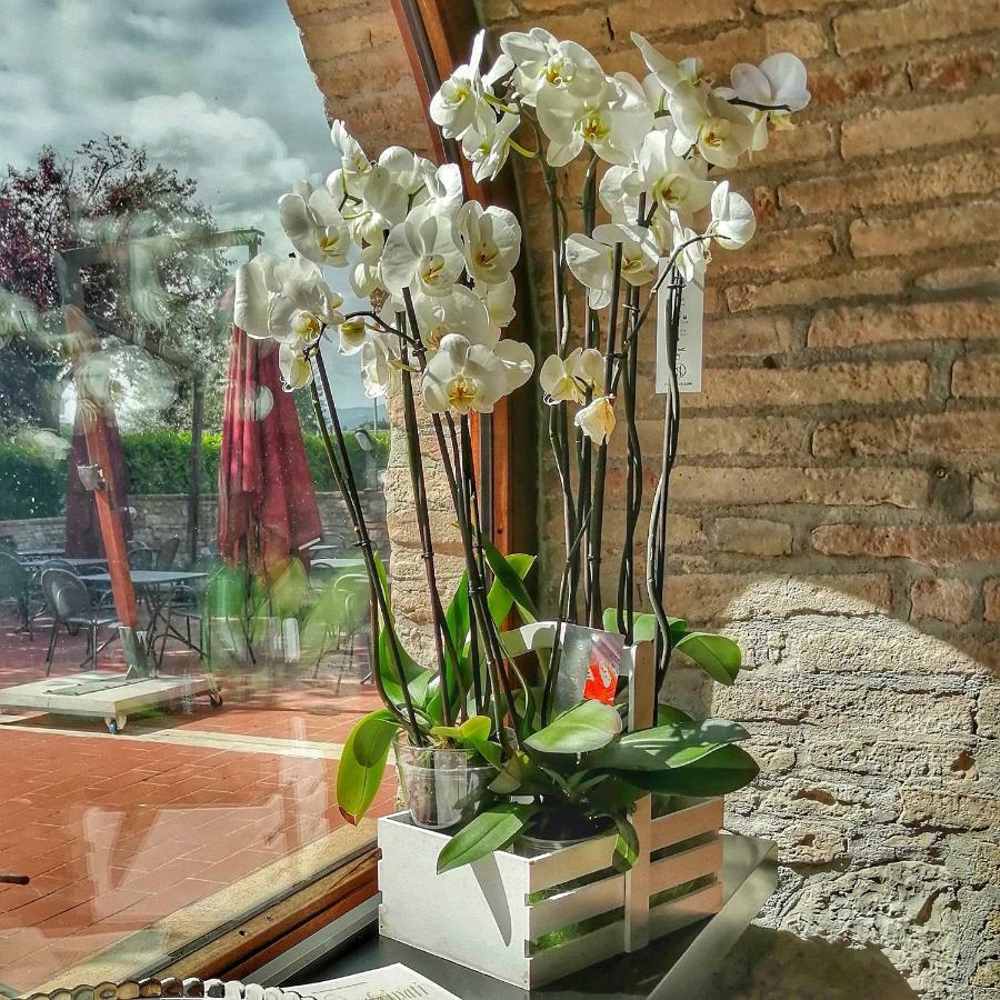 Locanda Giustini Asyż Zewnętrze zdjęcie